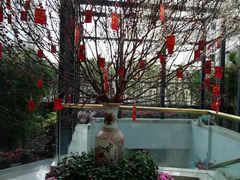 -御彩酒家(东风东路店)