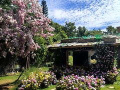 -HERRE·FARM 赫尔露营农场·团建聚会包场