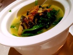 西郊5号-西郊5号·Maggie 5