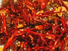-付掌柜在成都·热炒砂锅集(金禾店)