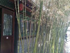 -王家大院