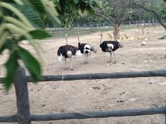 -西安秦岭野生动物园