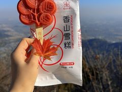 -香山公园