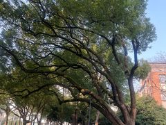 -浙江大学(玉泉校区)