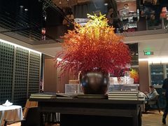 -秀儿四九城·新京菜(亚运村鸟巢店)