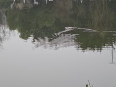 -沐仙湖湿地公园