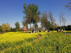 -济南植物园