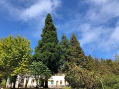 -山王坪喀斯特国家生态公园