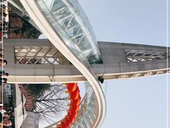 -南山植物园