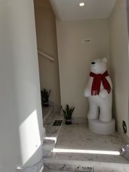 -海涛医疗美容·面部抗衰·注射美鼻