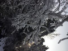 九华山友谊土菜馆-九华山友谊土菜馆 小资餐厅