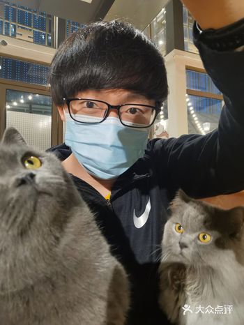 小猫咪能有什么坏心思呢