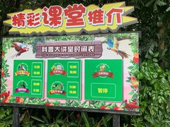 -广州长隆飞鸟乐园