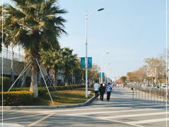 -宝安西湾红树林湿地公园