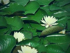 -中关村生命科学园