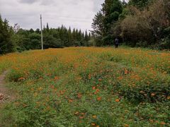 -桤木河湿地公园