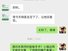 -爱侣宠医·鹦鹉专科·小型哺乳类·异宠专科(灵石路店)