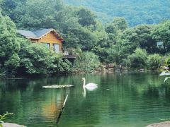 -杭州开元森泊度假乐园