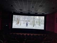 -AMG海上明珠影城(上海环球港RealDCinema店)