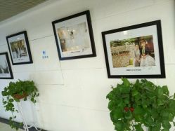 -艺匠摄影ARTIZ STUDIO(南京店)