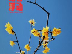 -龙美术馆西岸馆-停车场