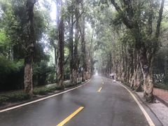 -福清灵石山国家森林公园