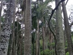 情人谷-厦门大学(思明校区)