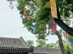 -荣国府