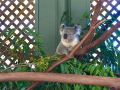 -费瑟代尔野生动物园