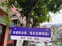 -后柳水乡