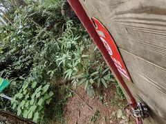 -芦仙山景区-飞越丛林探险乐园