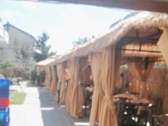 -天盛海鲜烧烤城·特色烤海鲜(开发区店)