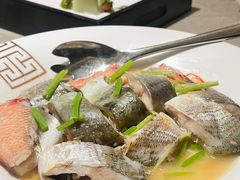-金成潮菜博物馆(海珠湿地店)