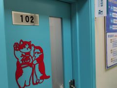-北京观赏动物医院·24小时大型综合·猫专科·异宠专科