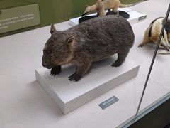 -国家自然博物馆