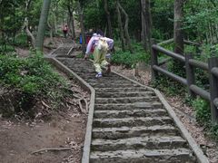 -上海佘山国家森林公园天马山园