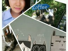 -海边的猫和咖啡馆