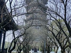 -洋湖国家湿地公园
