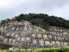 -香港大学