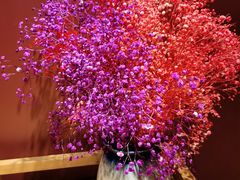 -蜀九香火锅(玉林店)