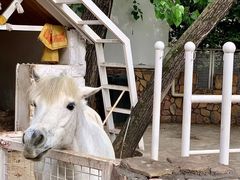 -J Create城市露营咖啡·简餐·宠物(上海动物园店)