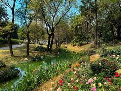 -人民公园(罗湖区)