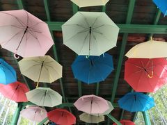 -陶祖圣境风景区