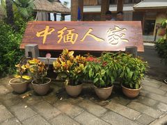 -打洛口岸