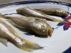 -潮汕味道·煮海餐厅(金麟大厦店)