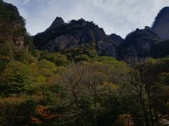 -青峰峡国家森林公园