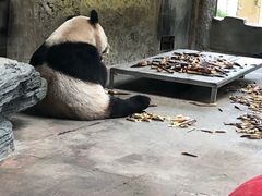-常州淹城野生动物世界