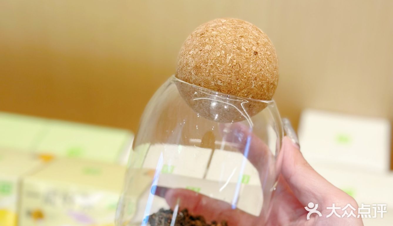 奈雪七周年！摩天轮下喝奈雪新品～