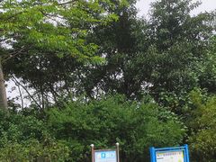 -玉树公园