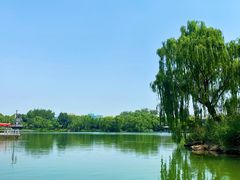 -济南大明湖景区